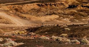 Steam商店页：《热血物语：地下世界》确认即将下架